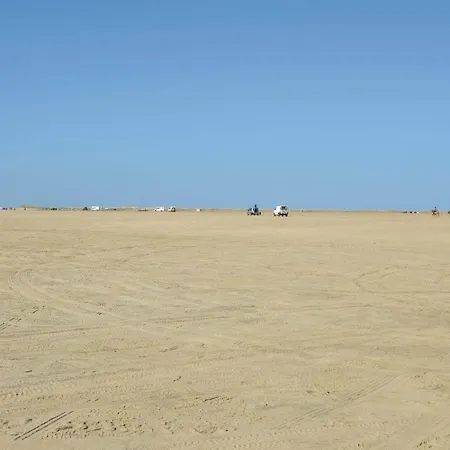 8 Person In Romo * Kongsmark
